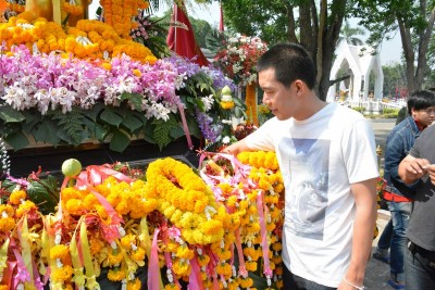 DSC_0387_800x534.JPG