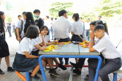 IMG_7939_800x533.JPG