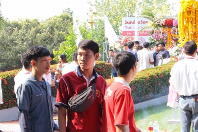 IMG_7968_800x533.JPG