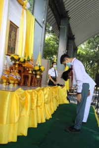 IMG_3540_640x427.JPG