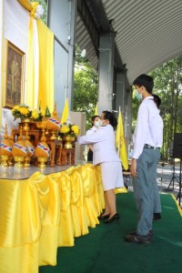 IMG_3542_640x427.JPG