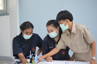 MAS_3061_800x533.JPG