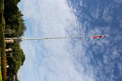 IMG_8557.JPG
