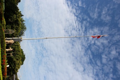 IMG_8558.JPG
