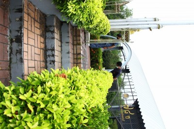 IMG_0218_800x533.JPG