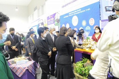 IMG_0855_800x533.JPG