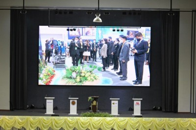 IMG_8888_800x533.JPG