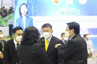 IMG_8917_800x533.JPG