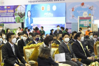 IMG_8926_800x533.JPG