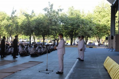 IMG_1460_800x533.JPG