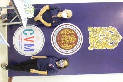 IMG_1896_800x533.JPG