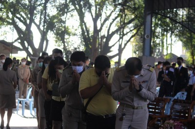 IMG_9545_800x533.JPG