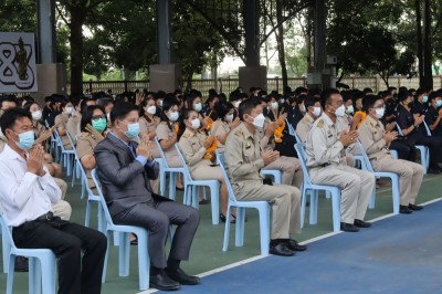 87.jpg