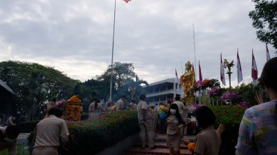 431.jpg