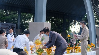 496.jpg