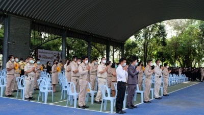 539.jpg