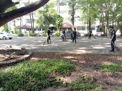 54188.jpg