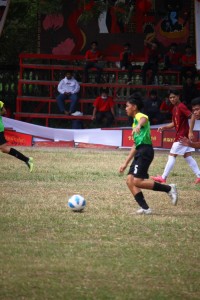 IMG_8237_700x1050.jpeg
