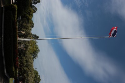 IMG_8923.JPG