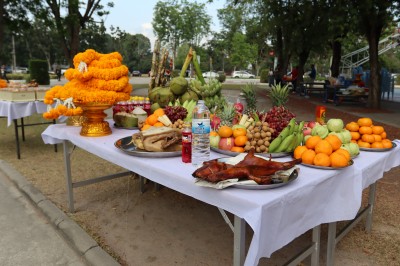 IMG_3739.jpg
