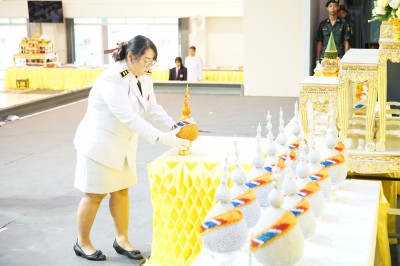 DSC09177.jpeg