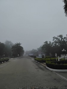 94800_0.jpg