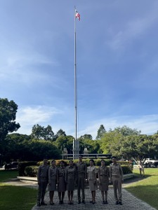 S__451977236_0.jpg