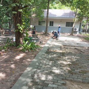 IMG_20230815_102617.jpg